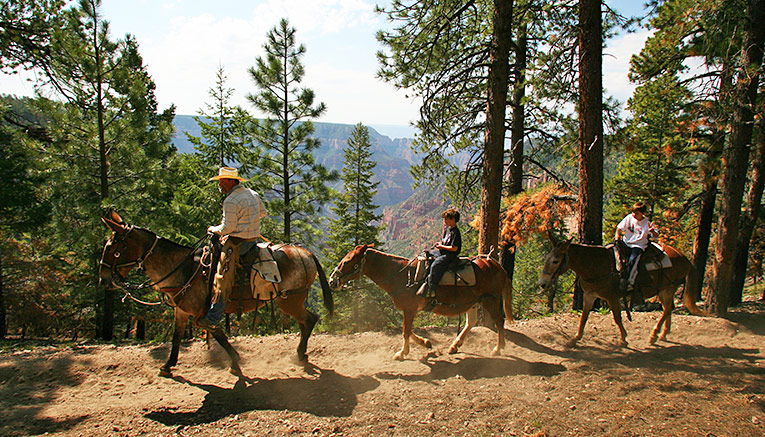 Mbgqf-bryce-zion_canyon-multisport-4